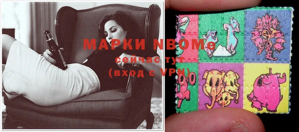 индика Киренск