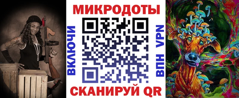 Псилоцибиновые грибы Psilocybine cubensis  Касли 